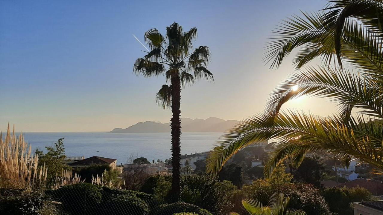 Cannes & More Exterior photo
