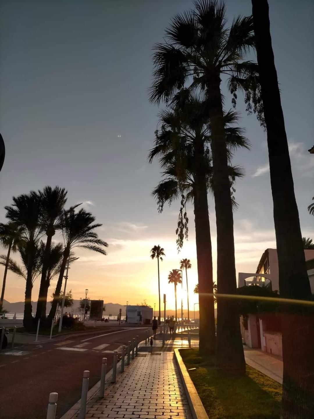 Cannes & More Exterior photo